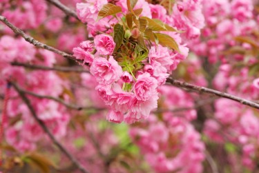 常州新北区8线下个人借款平台一站式服务，轻松解决资金难题