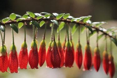 常州新北区8零用贷短借：轻松解决临时资金需求