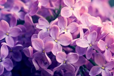 常州新北区8企业急用钱贷款攻略：快速融资解燃眉之急